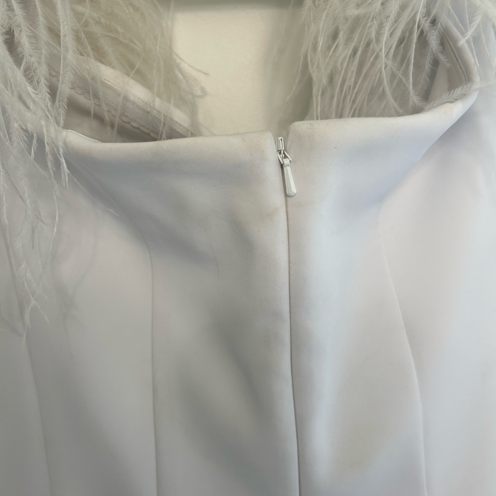 Ashley Lauren Cocktail Dress with Feather Shoulders. Size 10. - Picture 5 of 6